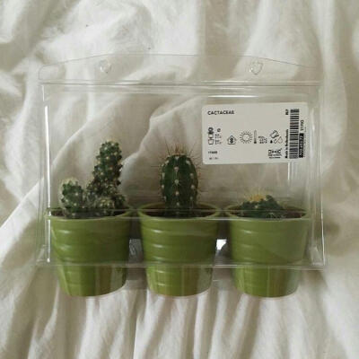 绿色系
