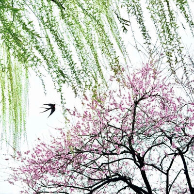 背景图