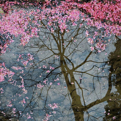 背景图