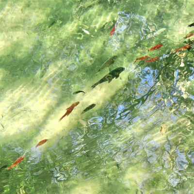 背景图
