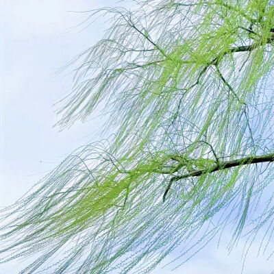 背景图