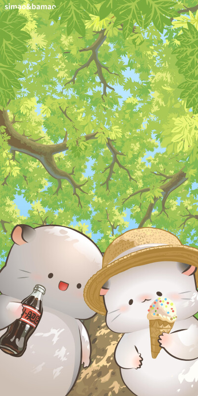 四毛与八毛
