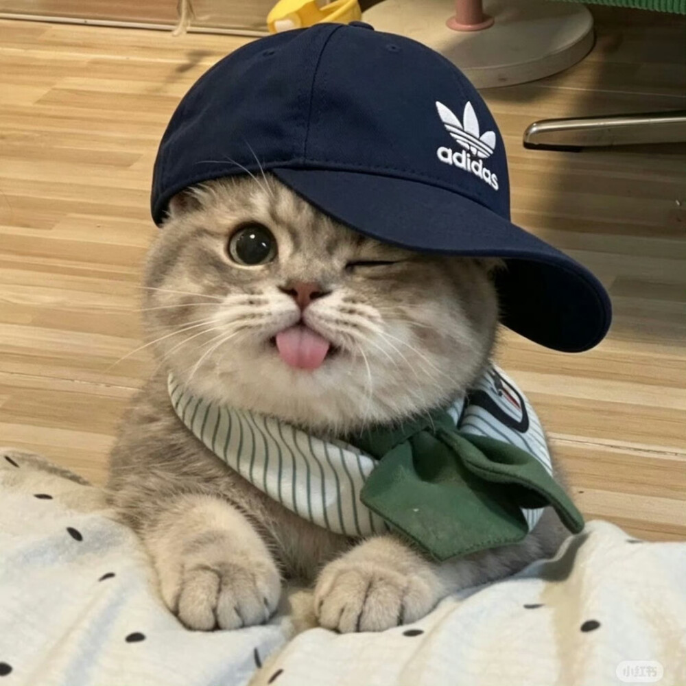 喵呜