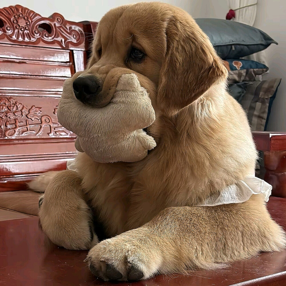 ～
