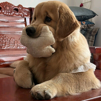 ～