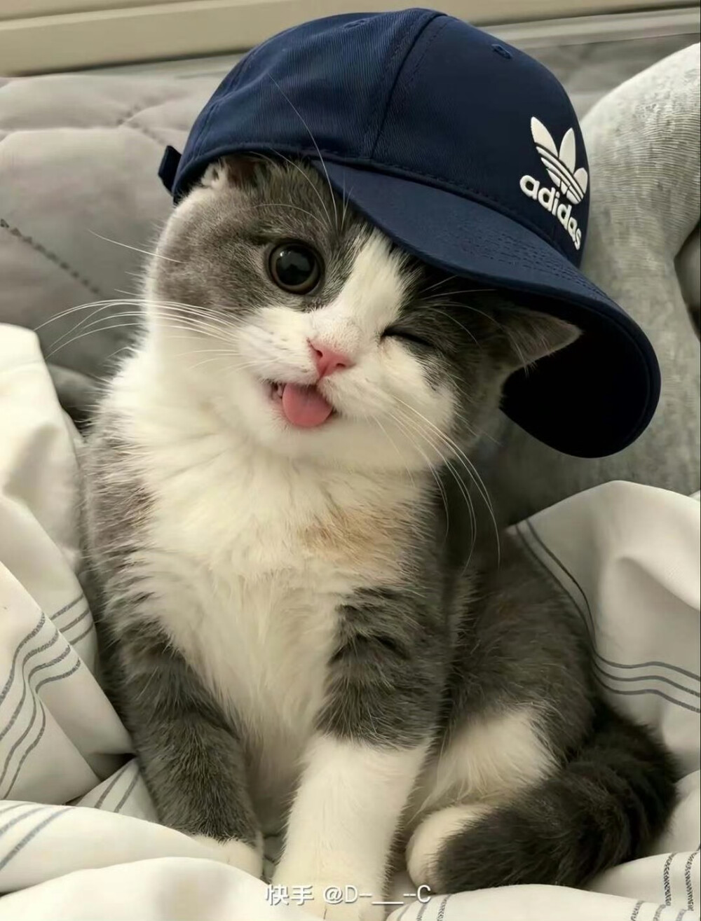 喵呜