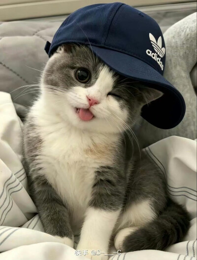 喵呜