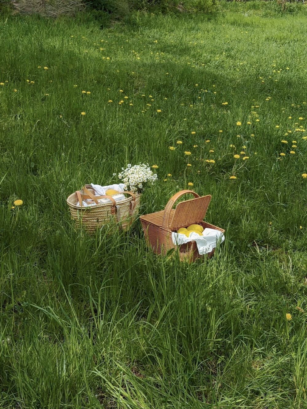日常
砰砰