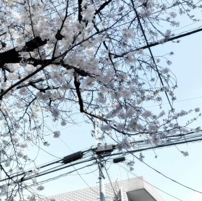 蓝色系