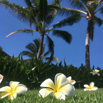 蓝色系背景图 夏日背景图