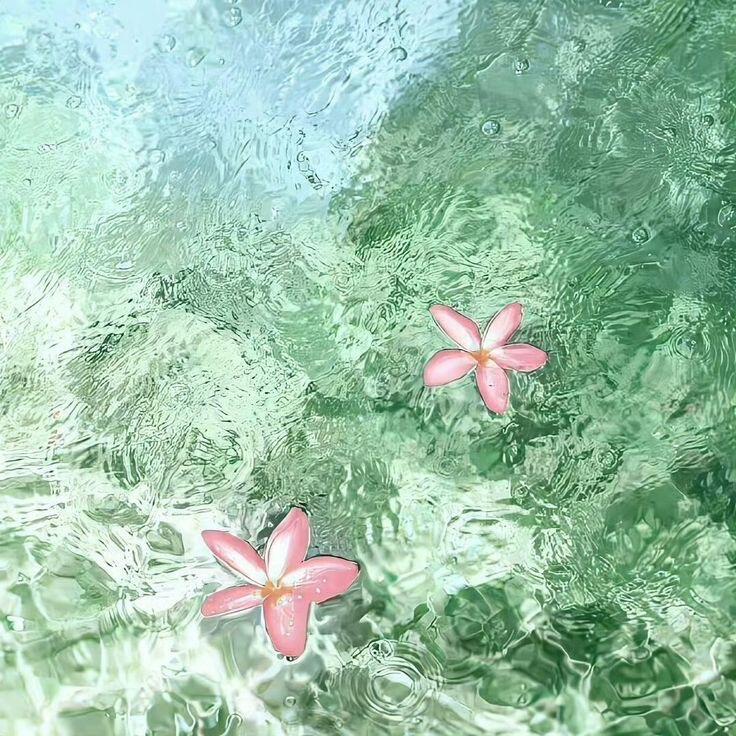 草莓薄荷