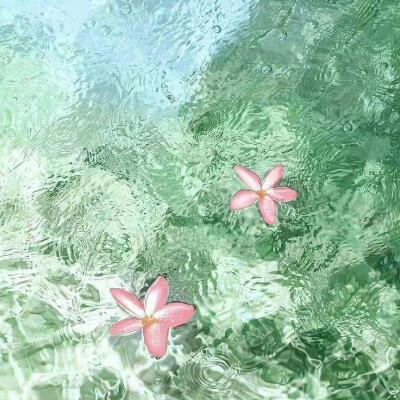 草莓薄荷