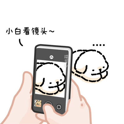 线条小狗