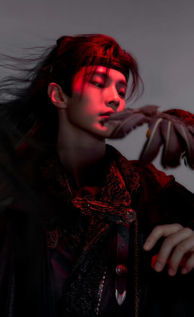 何与《百花杀》萧华雍