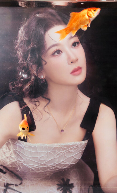 杨紫