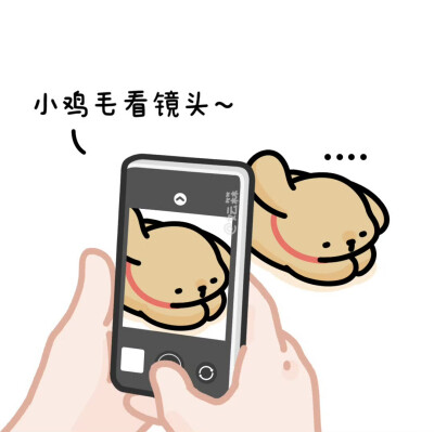 线条小狗