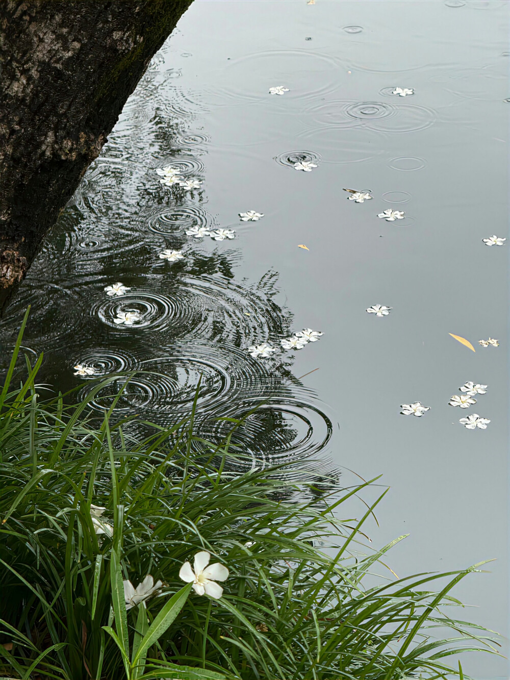 雨天背景图