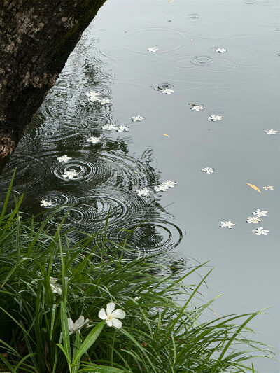 雨天背景图