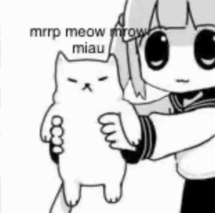 搞怪