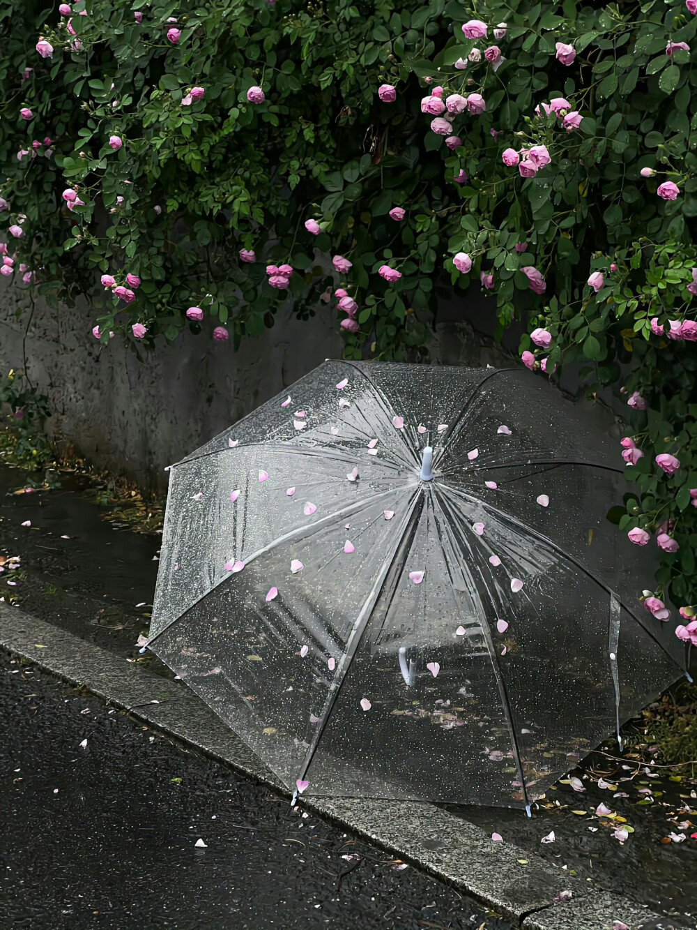雨天背景图
