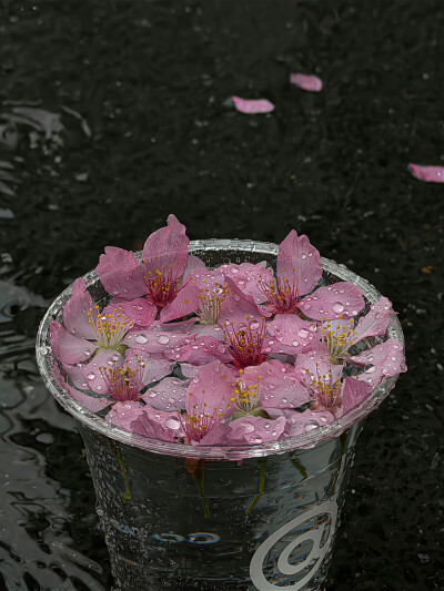雨天背景图