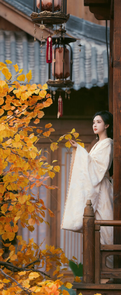 孟子义《百花杀》沈汐和