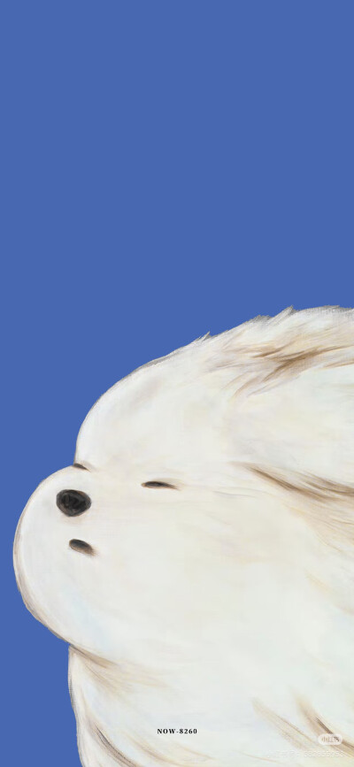from 网络