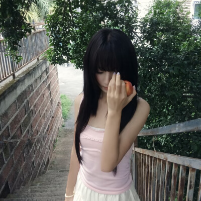 教司