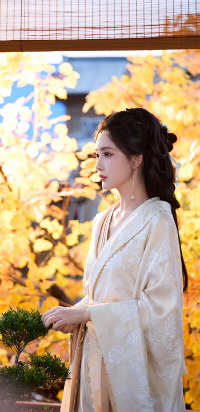 孟子义《百花杀》沈汐和
