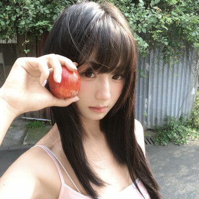 教司