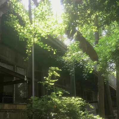 背景图