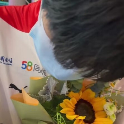 太阳花