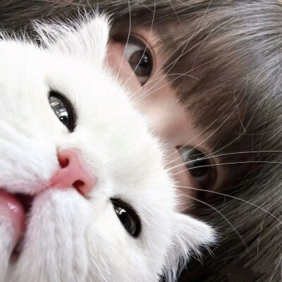 cute