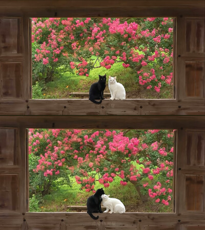 ～