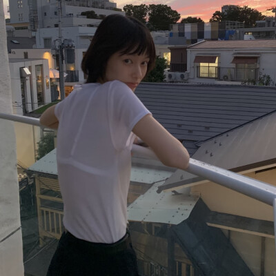 教司