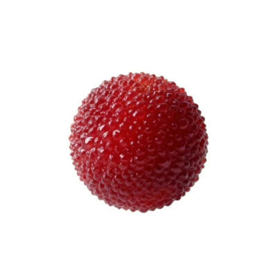 水果白底头像