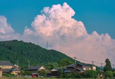 夏天风景