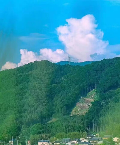夏天风景