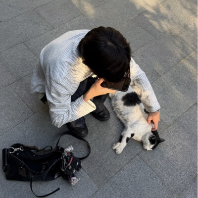 教司