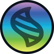宝可梦mega进化石