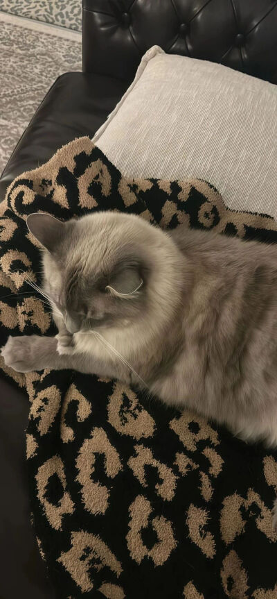 #قدرات خارقة