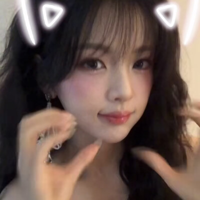 我领养的猫
