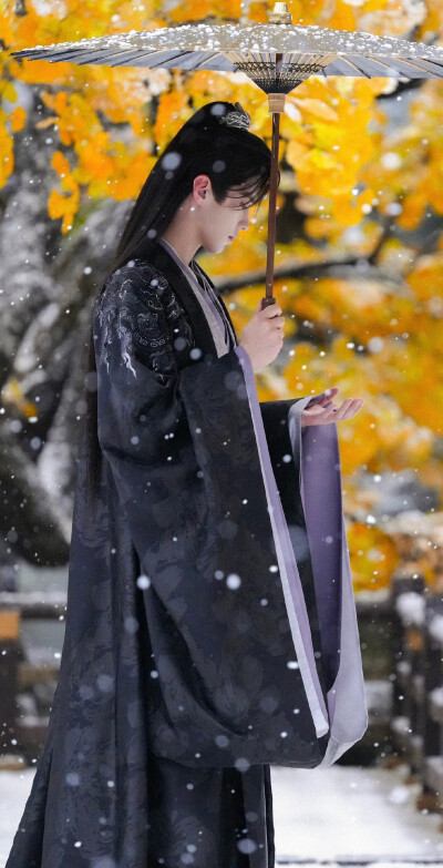 何与《百花杀》萧华雍