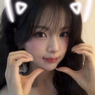 我领养的猫