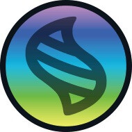宝可梦mega进化石