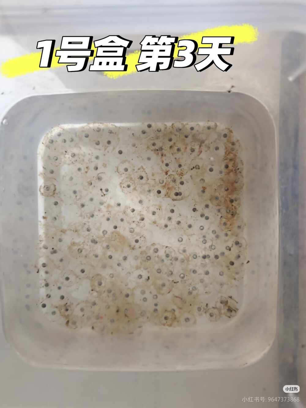 。