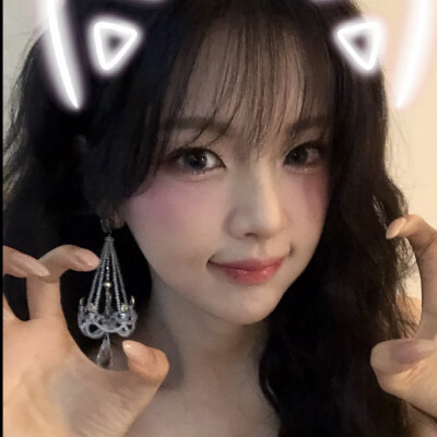 我领养的猫