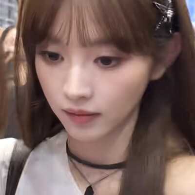 恋人怀中樱花草