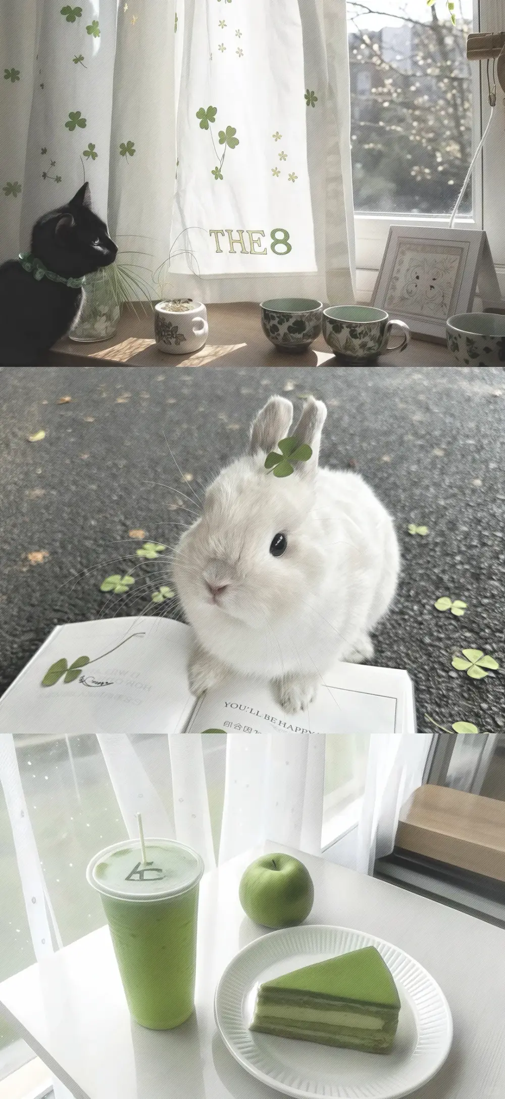 壁纸