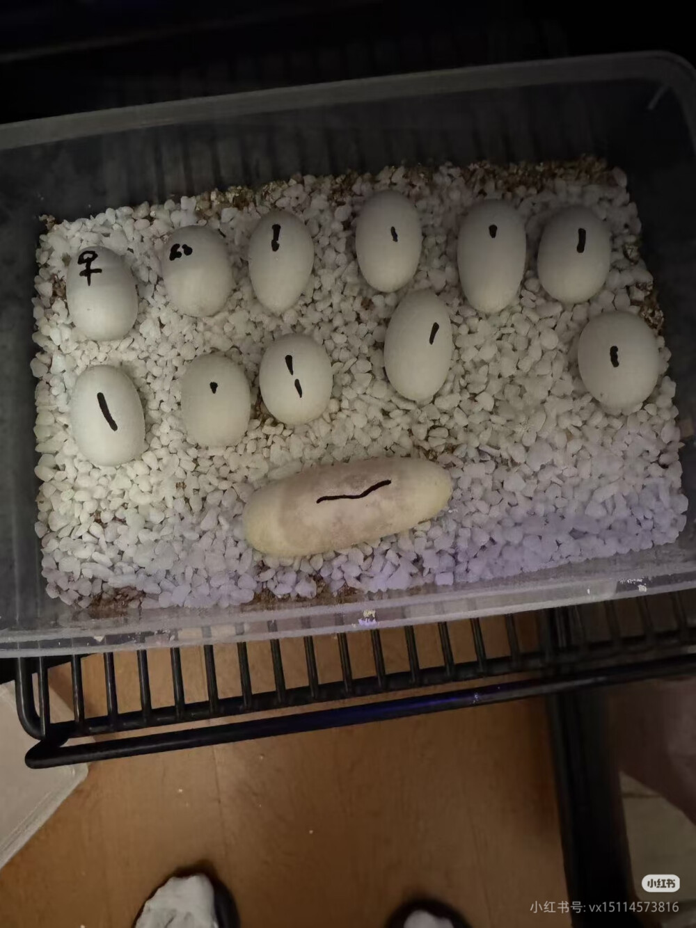 。